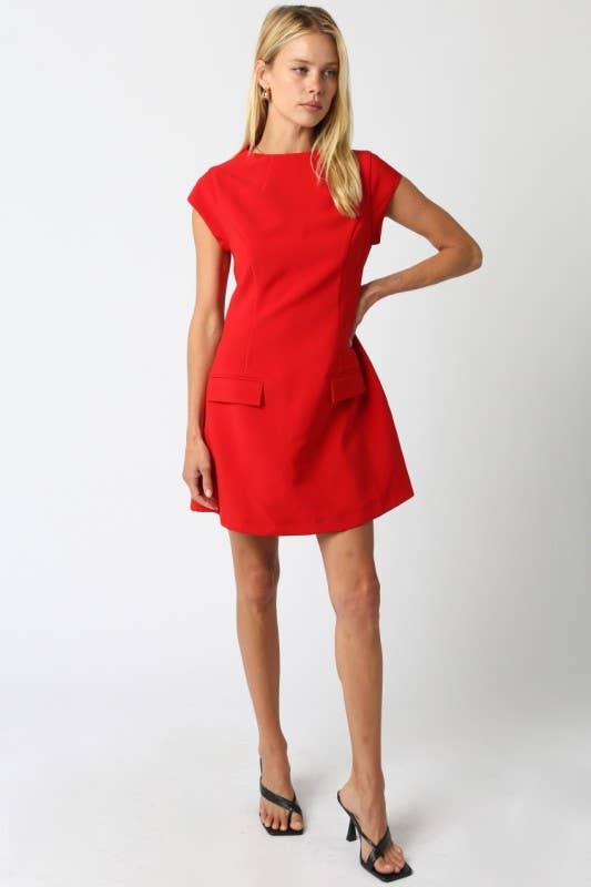 Gia Flare Dress