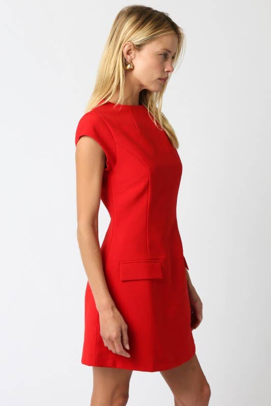Gia Flare Dress