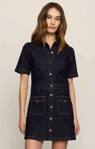 Z Supply The Crush Denim Dress