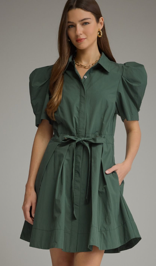 Puff Sleeve Mini Dress