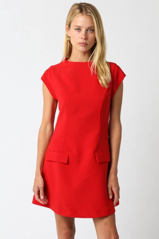 Gia Flare Dress