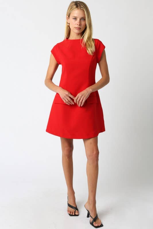 Gia Flare Dress