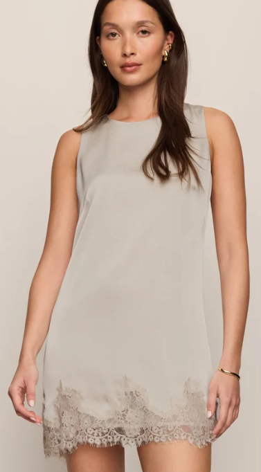 Meadow Muse Lace Mini Dress
