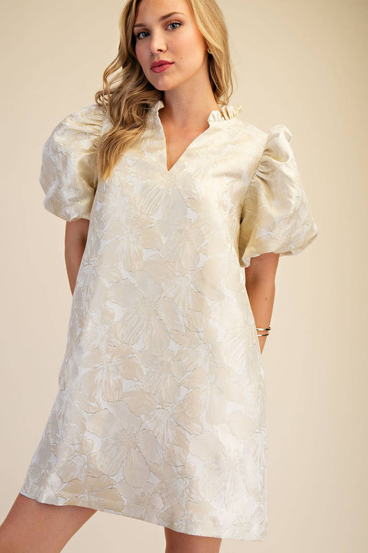 Ruffle V-Neck Puff Sleeve Mini Dress - Spring / Summer