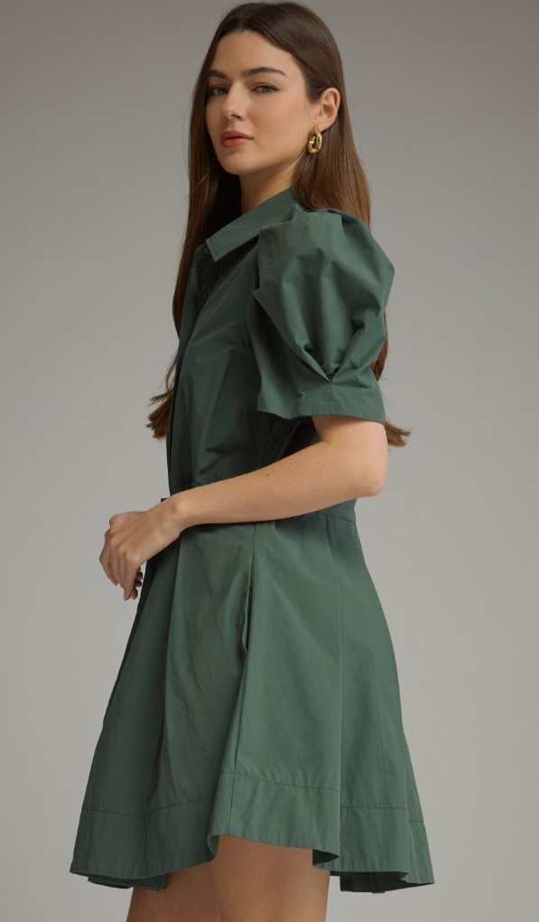 Puff Sleeve Mini Dress