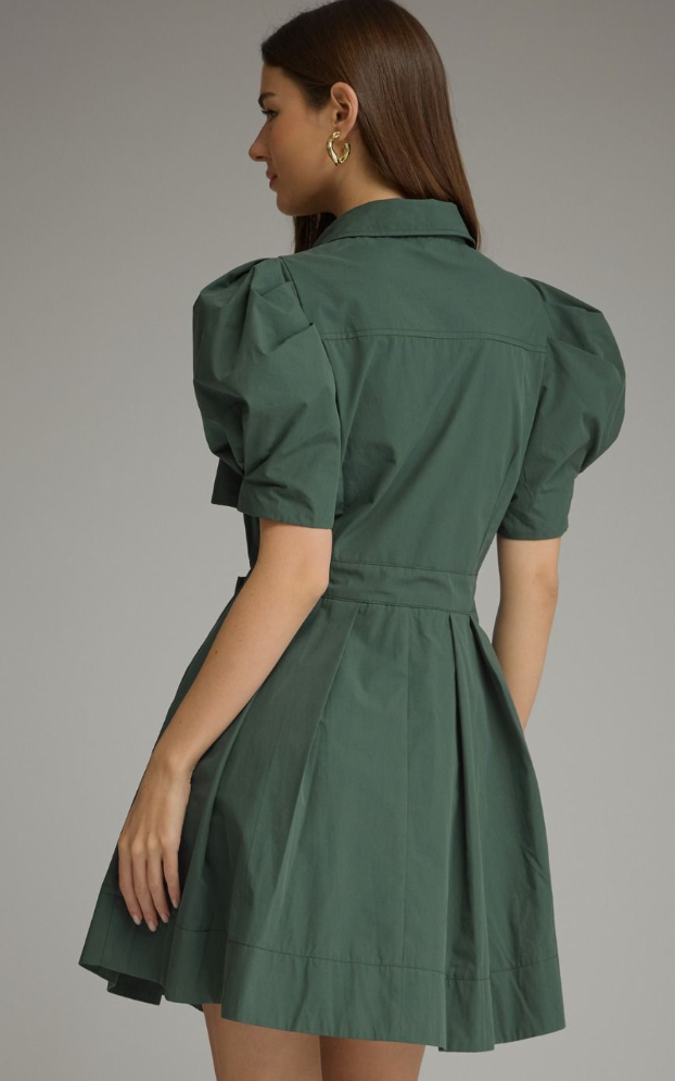 Puff Sleeve Mini Dress
