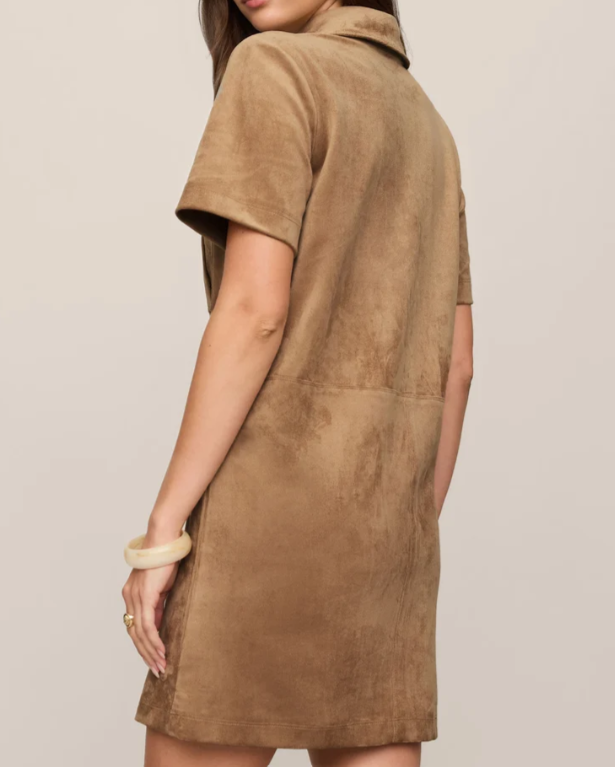 Leone Suede Mini Dress