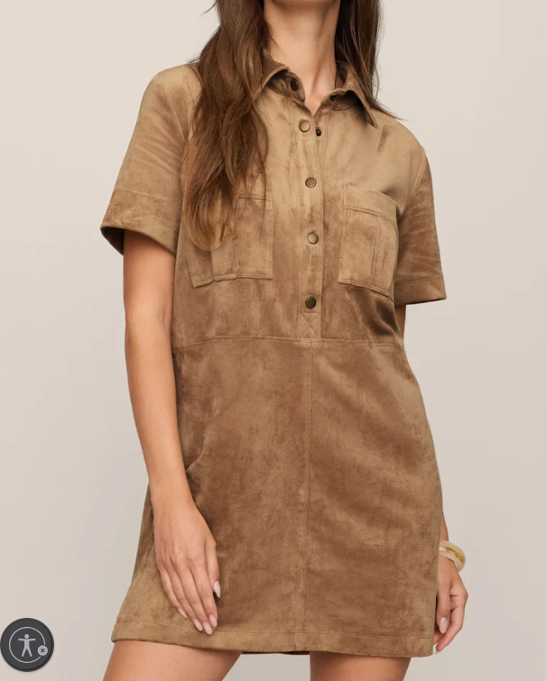 Leone Suede Mini Dress